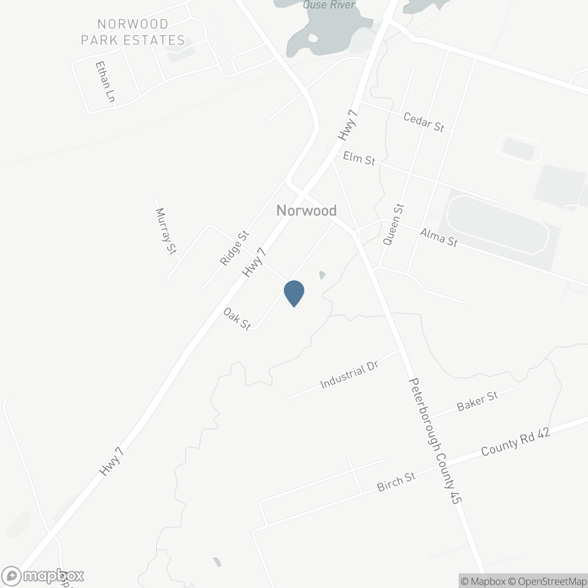 45 SPRING STREET, Asphodel-Norwood, Ontario K0L 2V0